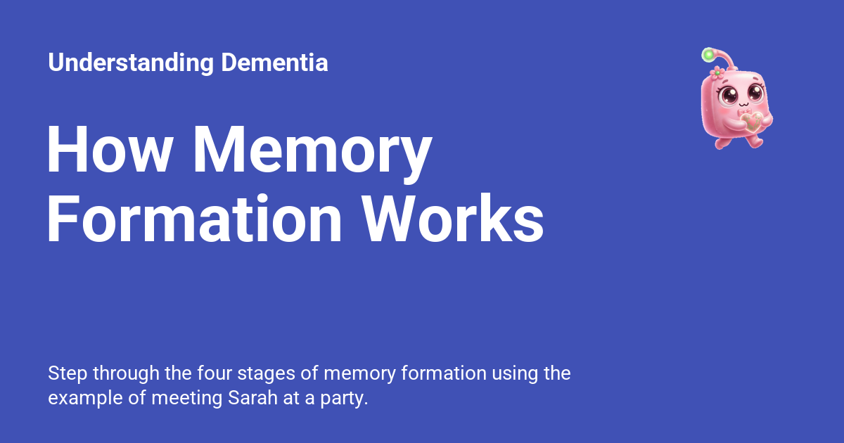 How Memory Formation Works - Understanding Dementia